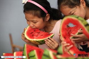 幼儿吃瓜柳棚下,幼儿的快乐田园时光