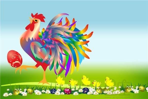 51属什么,揭秘数字背后的文化密码