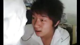 爱搞视频,揭秘热门短视频背后的趣味与魅力