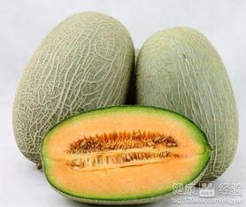 长水痘可以吃哈密瓜吗,长水痘期间适宜食用哈密瓜的探讨
