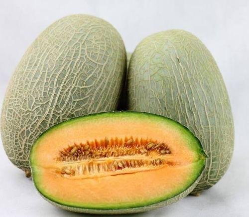 阳了可以吃哈密瓜没,阳了也能吃？揭秘哈密瓜在新冠期间的神奇功效