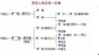 红楼梦第51回概括,贾府除夕夜，贾母寿宴风波起